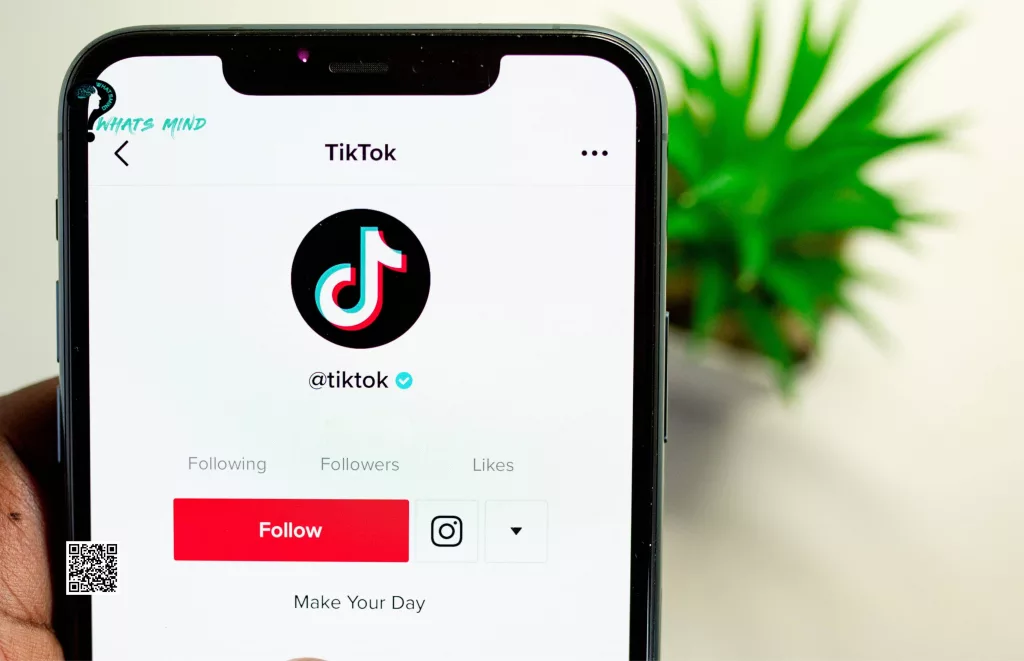 How to Customize Following Feed on TikTok?