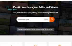Does Picuki Show Private Stories and Profiles of Instagram?