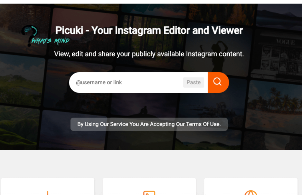Does Picuki Show Private Stories and Profiles of Instagram?