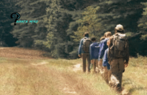 Trails Carolina Horror Stories: How To Get Admission, Benefits, Claims, Societal Effects
