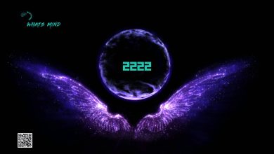 What does the 2222 angel number meaning about Love, Relationships, Career, and Twin Flame