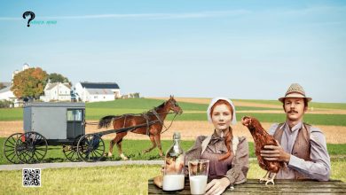 Amish Oil Change Meaning: Amish’s Lifestyle, History, Ritual, Impact, TikTok Slang, & Criticism 