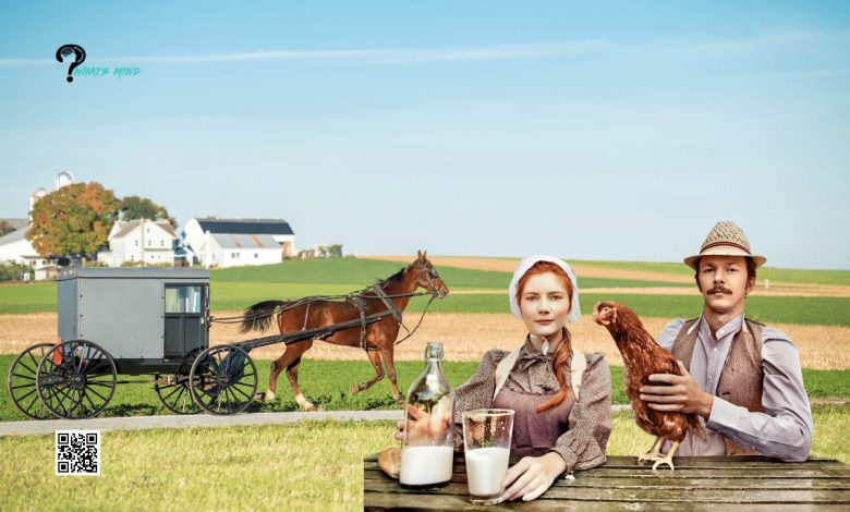 Amish Oil Change Meaning: Amish’s Lifestyle, History, Ritual, Impact, TikTok Slang, & Criticism 