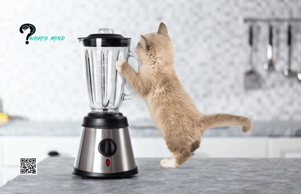 Cat in Blender Video Viral on X ( previously Twitter)