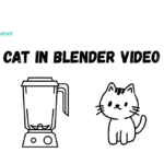 Who's the Preparator of Cat in Blender Video