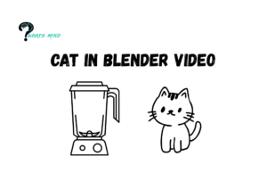 Who's the Preparator of Cat in Blender Video