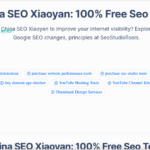 How China SEO Xiaoyan Revolutionized the Business and Tech Industry?