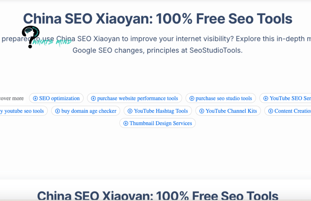 How China SEO Xiaoyan Revolutionized the Business and Tech Industry?