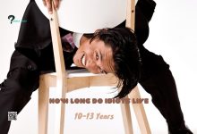How Long Do Idiots Live: A Popular Trend, Controversies, Associated Logics & Why You Should Ignore