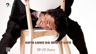 How Long Do Idiots Live: A Popular Trend, Controversies, Scientific Claims & Reasons, Associated Logics & Why You Should Ignore