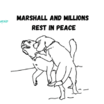 Britain Killing of Marshall And Millions by Net Police 