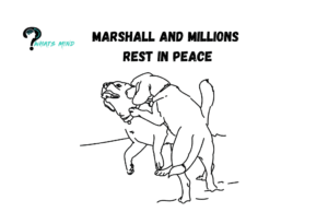 Britain Killing of Marshall And Millions by Net Police