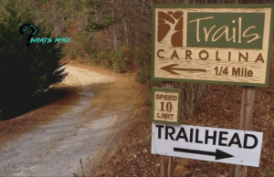 Trails Wilderness Program Death: Incidents Of Alec & Sergey, Future Aims, Reputation