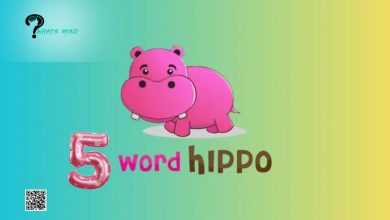 Ultimate Guide of Different Ways to Search Wordhippo 5 Letter Words