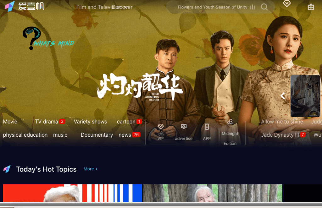 Aiyifan: Understanding, History, Features, Advantages, Disadvantages