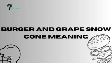 Burger And Grape Snow Cone Meaning: Origin, Spread, Use & Other Slang Terms 