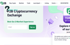 How to Buy XEM P2B? Introduction, Step-by-step Guide, Exchange System, Practical Applications & Warnings