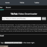 Tk2dl for Downloading Videos from TikTok Without Watermark: Features, Advantages, Alternatives 