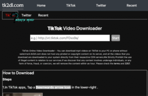 Tk2dl for Downloading Videos from TikTok Without Watermark: Features, Advantages, Alternatives 