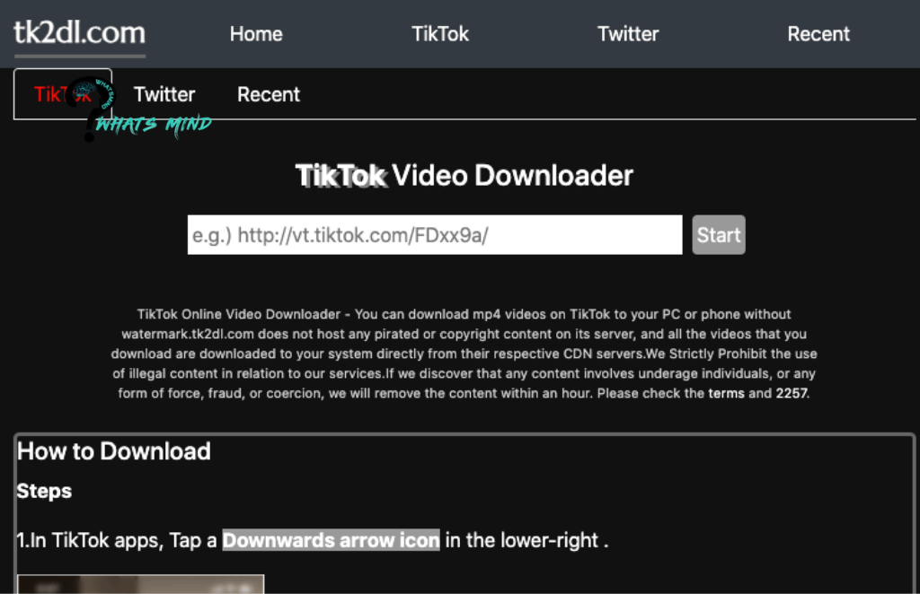 Tk2dl for Downloading Videos from TikTok Without Watermark: Features, Advantages, Alternatives 
