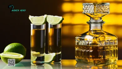 10 Mexican Best Tequila: Introduction, Points To Consider, Popular Brands & Types