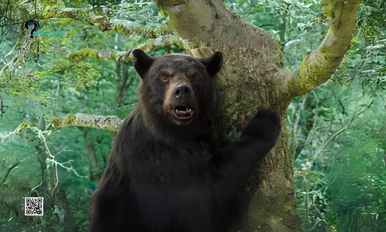 Cocaine Bear Reviews: Movie's Genre, Best & Worst Moments
