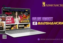 Exploring the Realm of IPL 2024 with Badshahcric.net