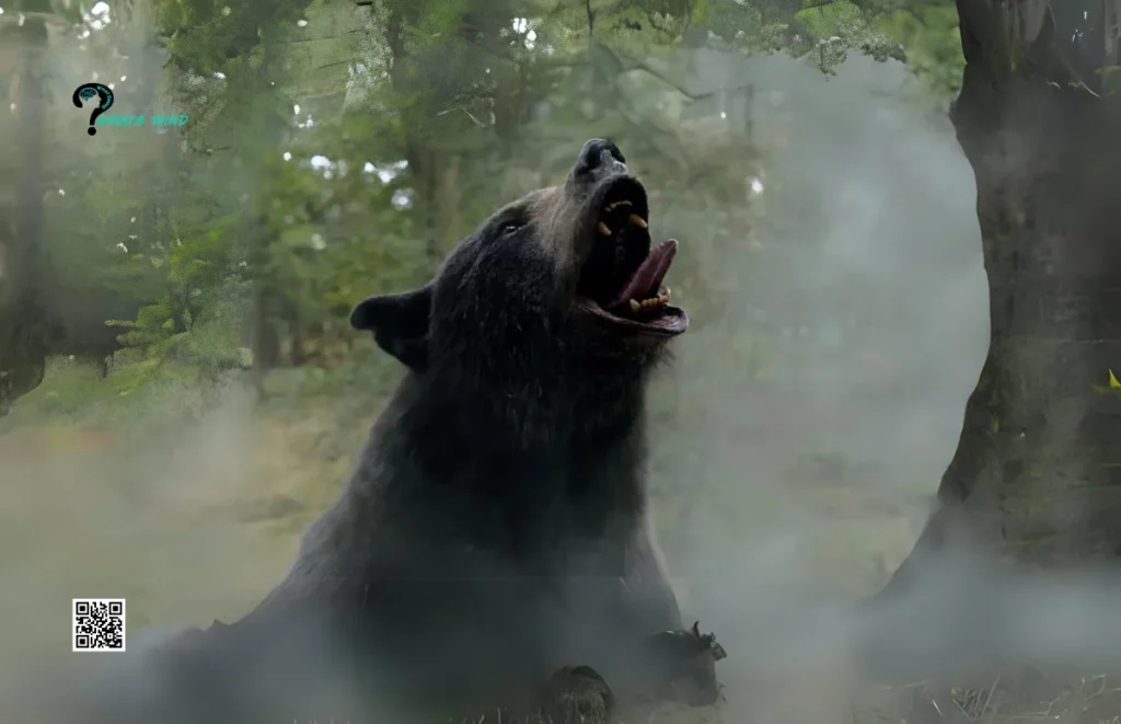 Cocaine Bear Reviews: Movie's Genre, Best & Worst Moments