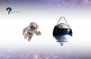 Fundamental Takeaways of Space Travel Experience for Novice Space Tourists and Astronauts