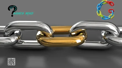 The Value of a Quality Backlink: Its Impact & How To Get it?