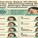 10 Warning Signs Of Mold Toxicity: Understanding, Mold Toxicity, Allergic Reaction, Causes, Precautions