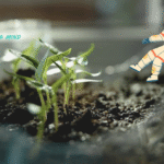 What could be the Challenges to Life on the Moon? NASA to Grow Plant on Moon for the First Time