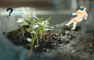 What could be the Challenges to Life on the Moon? NASA to Grow Plant on Moon for the First Time