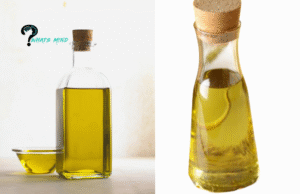 Which Oil is More Healthier Corn Oil vs Canola Oil?