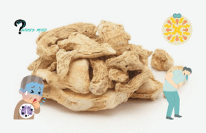 How is Dried Ginger Beneficial for Health? 