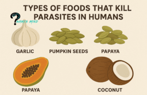 What are the Types of Foods that Kill Parasites in Humans? List of Foods that Kill Intestinal Parasites