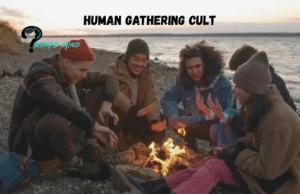What is a Human Gathering Cult and How Do They Affect Communities?