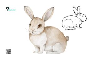 Techniques for Creating a Cute Bunny Drawing
