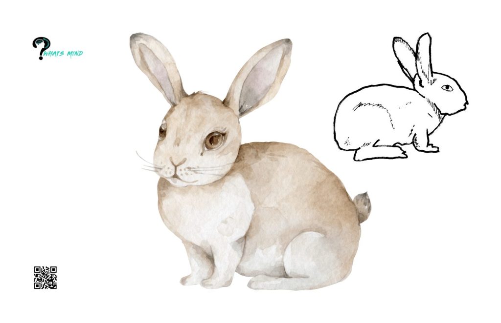 Techniques for Creating a Cute Bunny Drawing