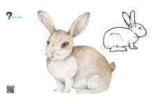 Techniques for Creating a Cute Bunny Drawing