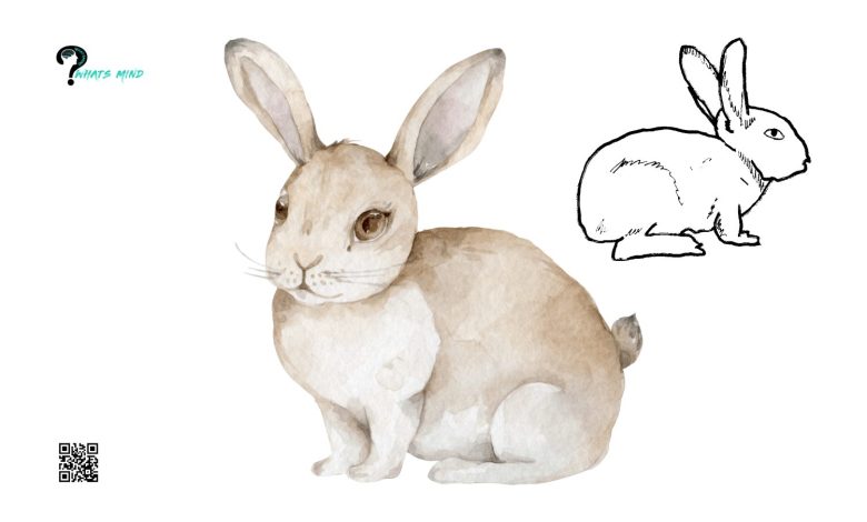 Techniques for Creating a Cute Bunny Drawing